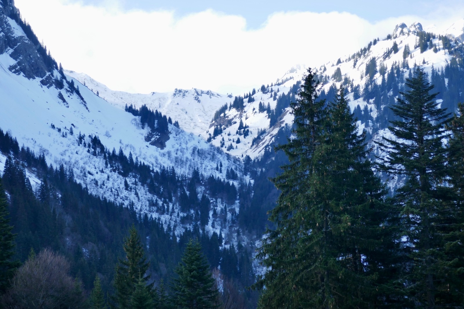 Vers le col du Foron et Chalune.&nbsp;