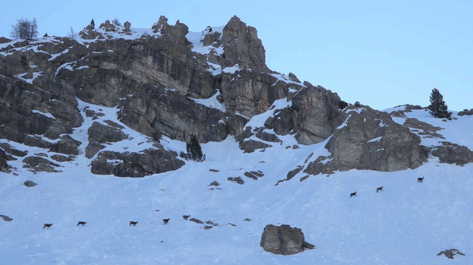 Population autochtone 