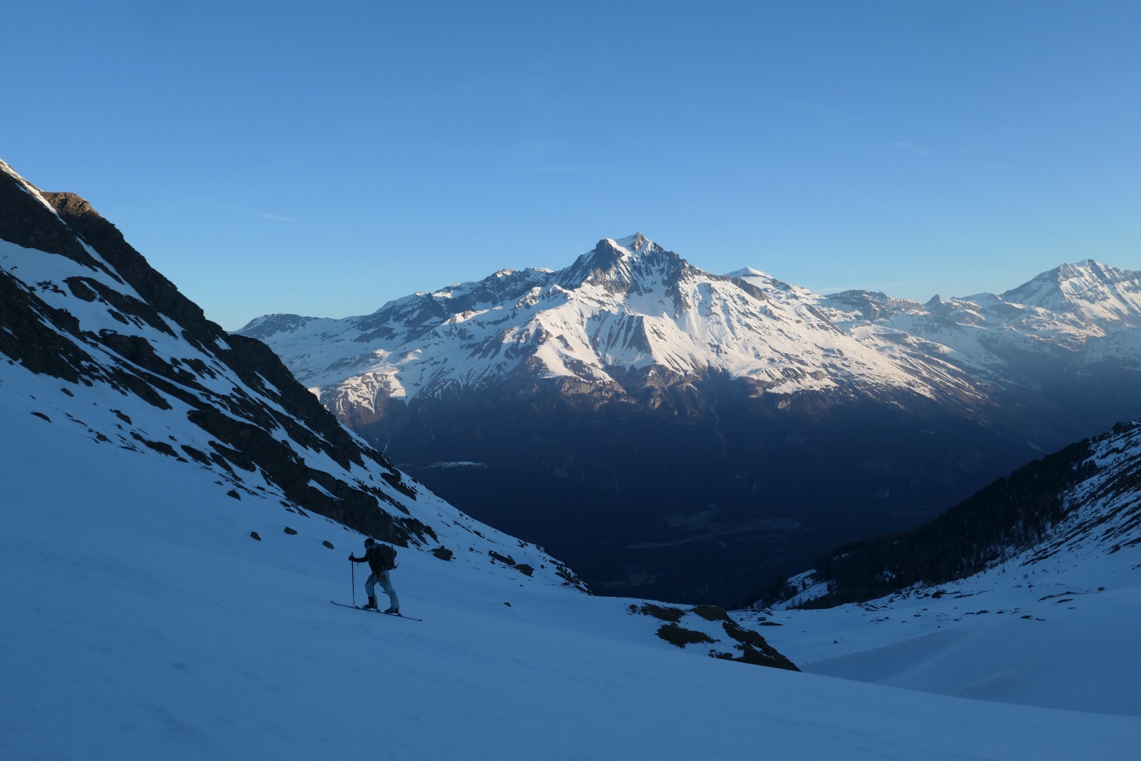 SUr fond de Parrachée  
