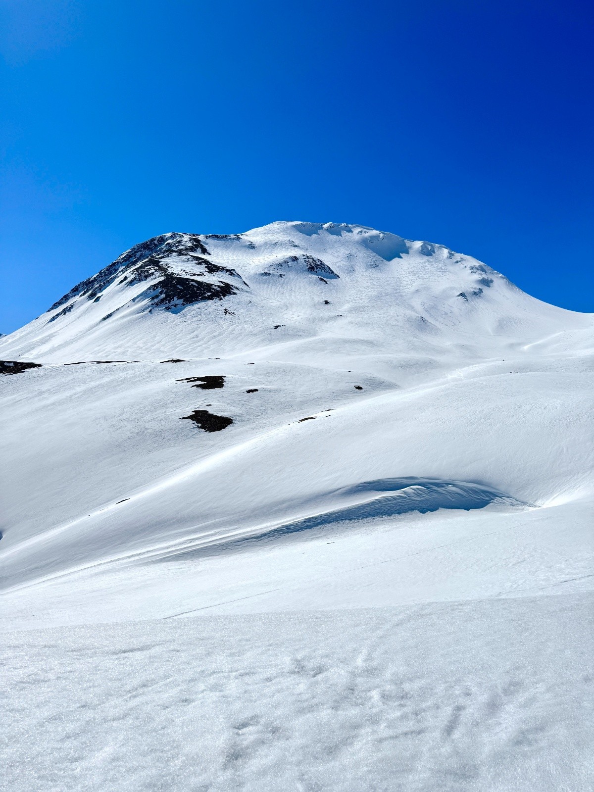 Tête de ferret versant N