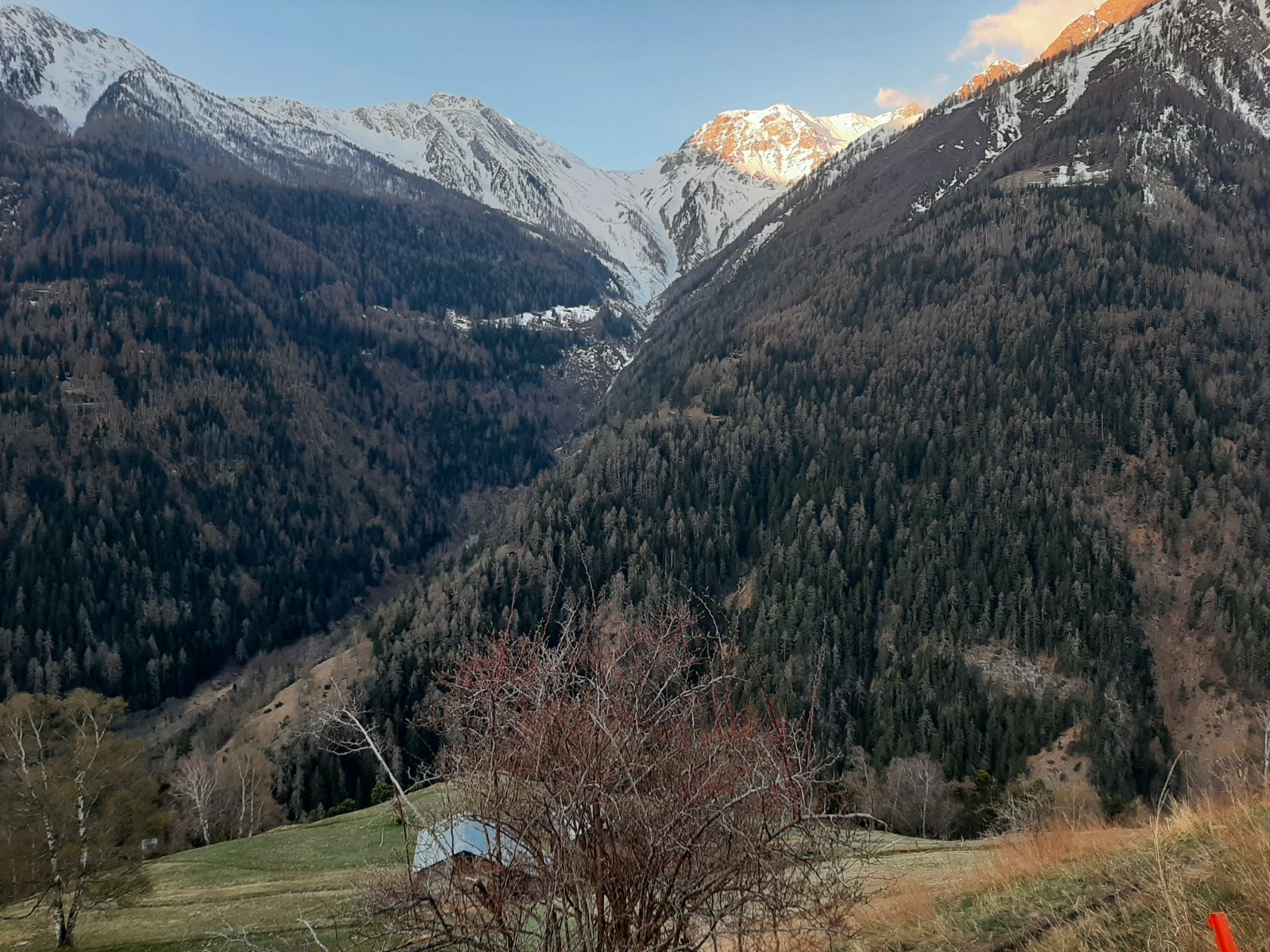 La descente sur Schallberg proposée par Philippe Ertlen&nbsp;