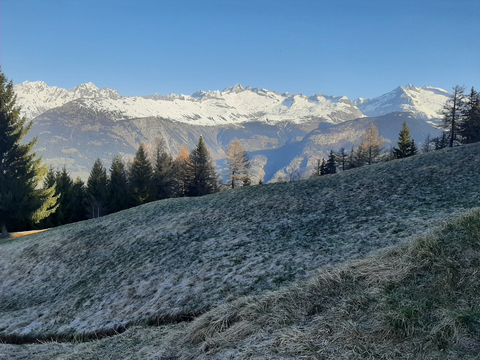 &nbsp;Vue sur l'Oberland en montant à Rosswald