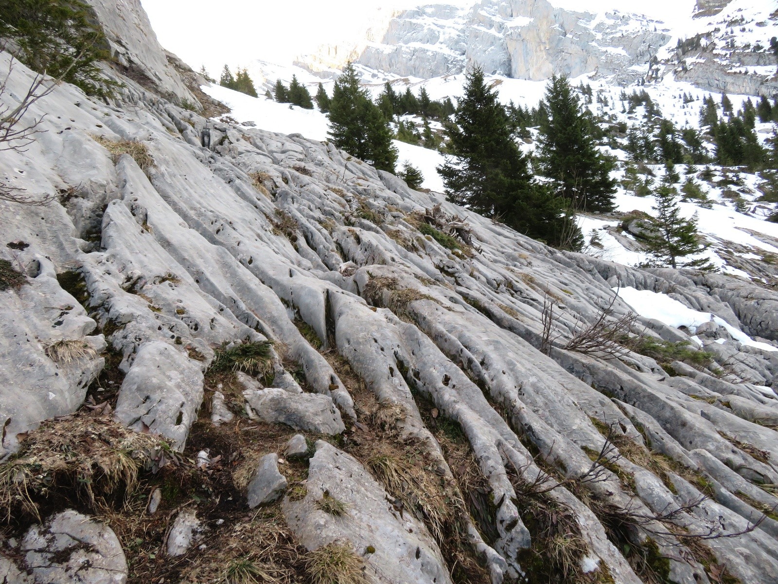 Lapiaz en sortie de rampe&nbsp;