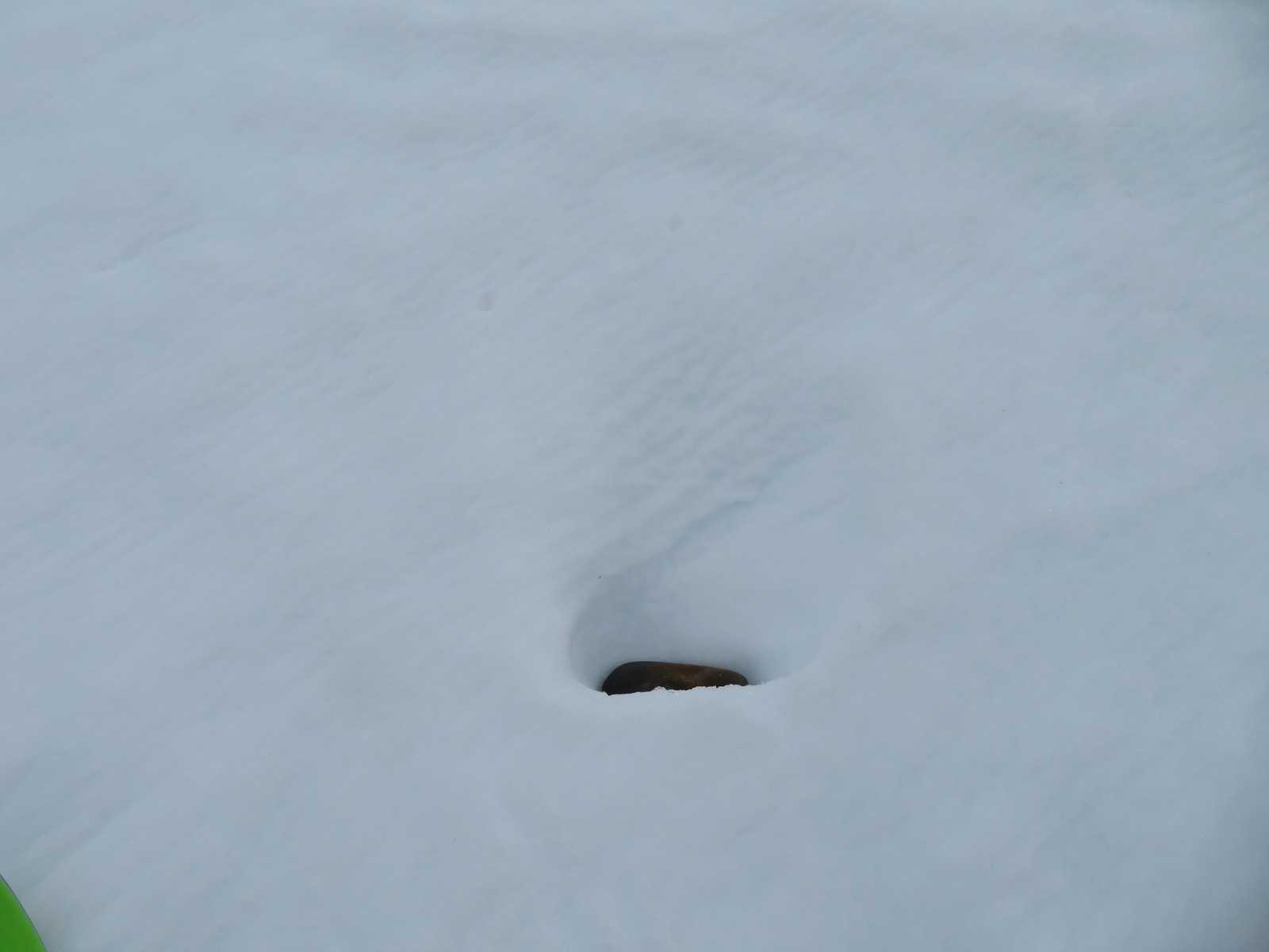 Trouvé un étui avec lunette de vue, ayant sans doute passée l'hivers sous la neige&nbsp; &nbsp;