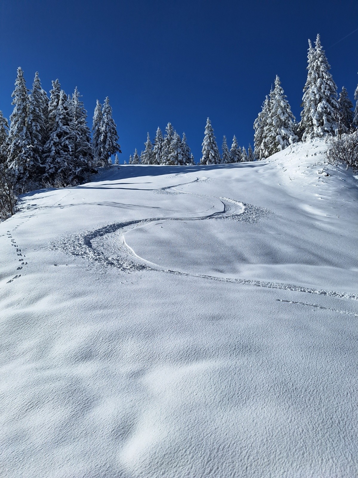 #2 1er descente bonne, ensuite moins bien sous 2000 1er descente bonne, ensuite moins bien sous 2000