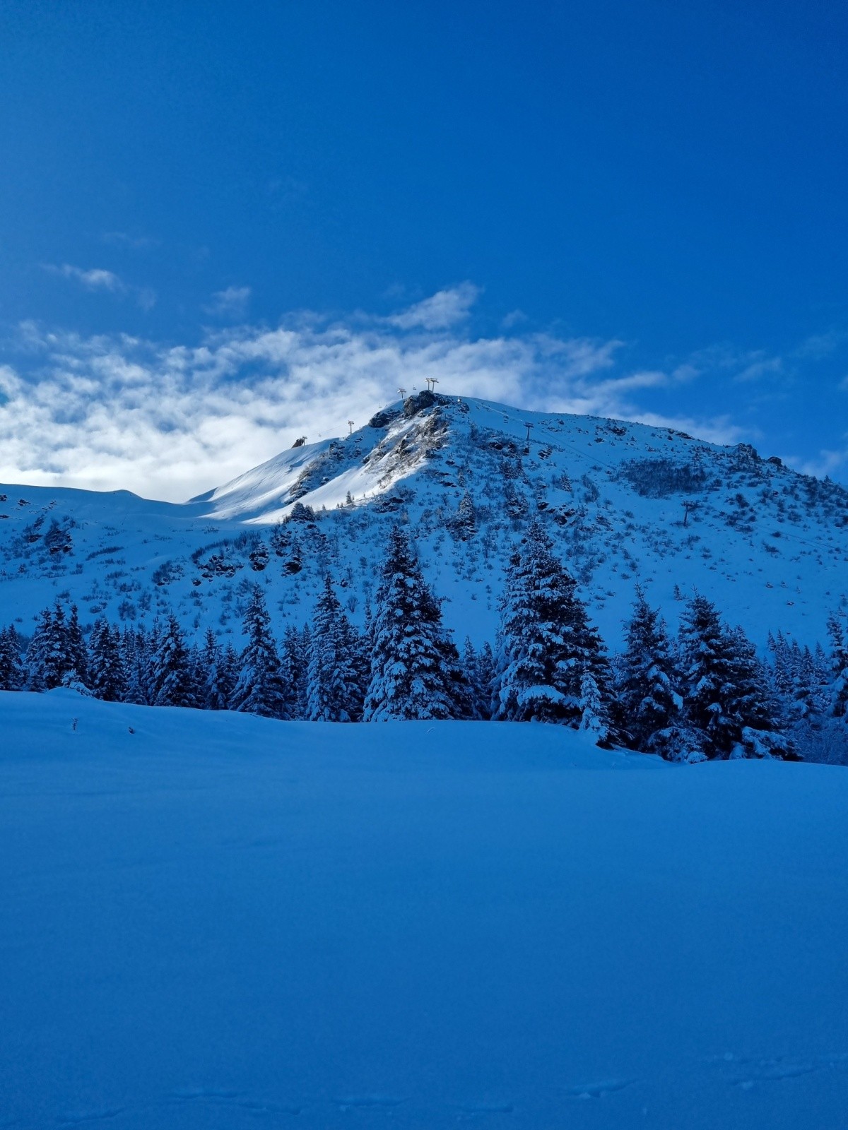 C'est beau !Tsd du grand cerf