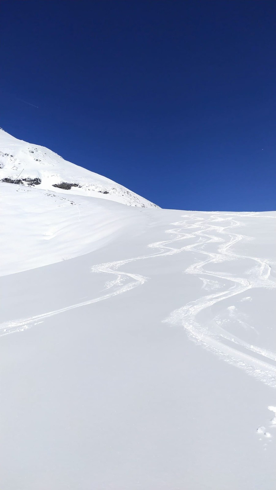 trace maman&nbsp; oursière