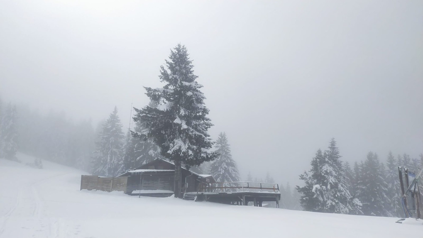 &nbsp;brouillard prapoutel