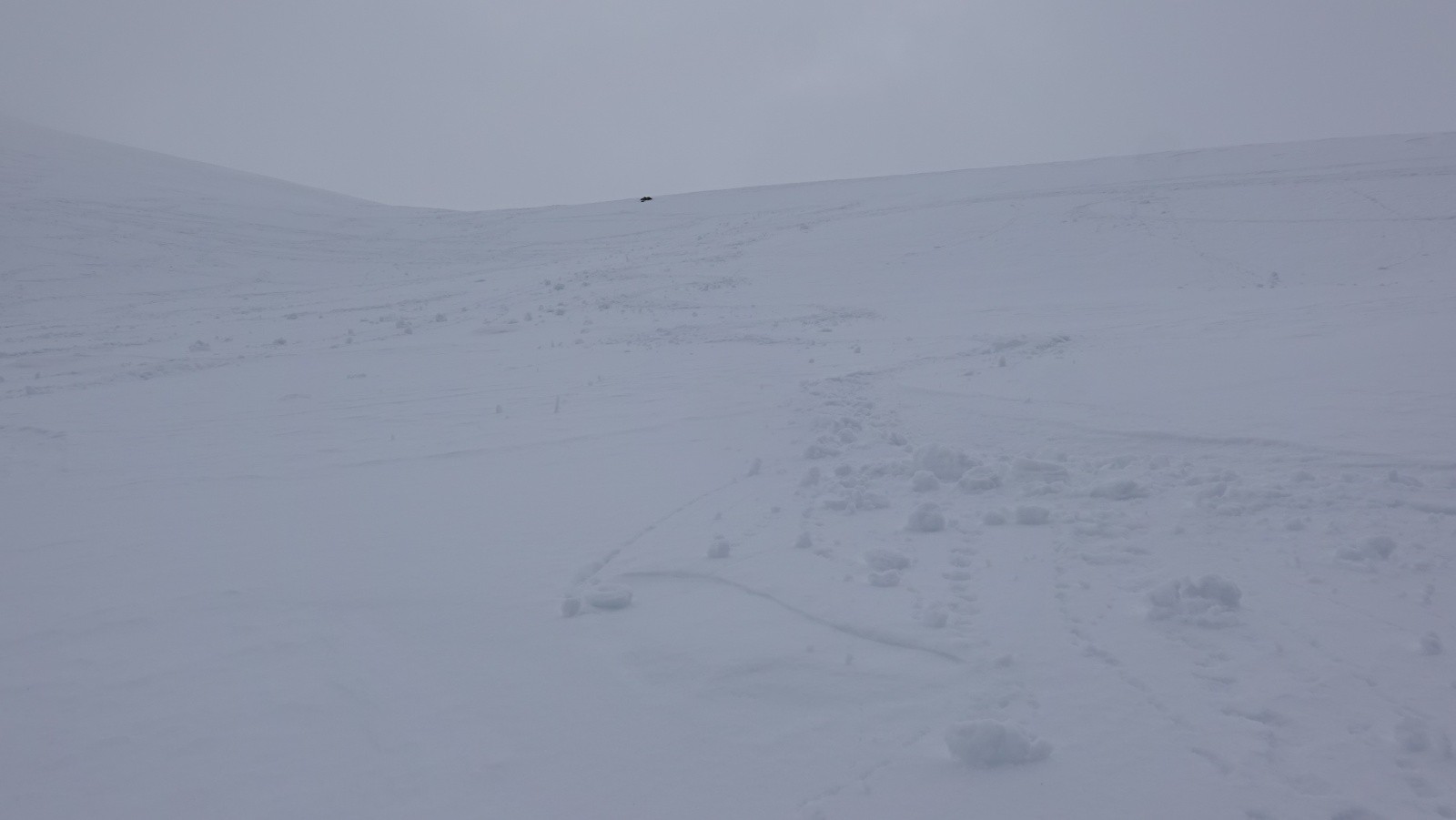 #24 Poudreuse humidifiée mais bien skiante Poudreuse humidifiée mais bien skiante