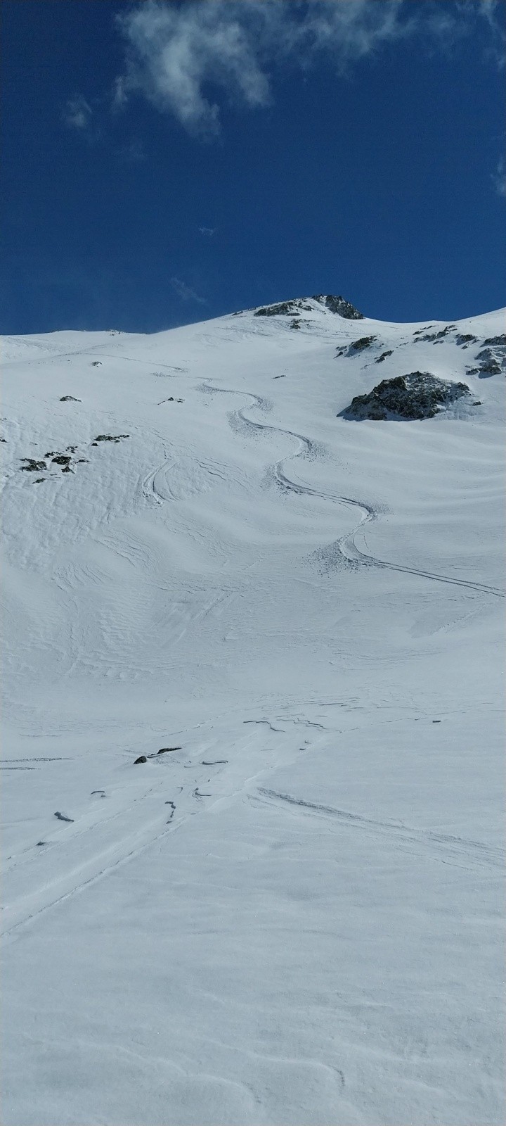 il faut le voir pour le croire&nbsp;