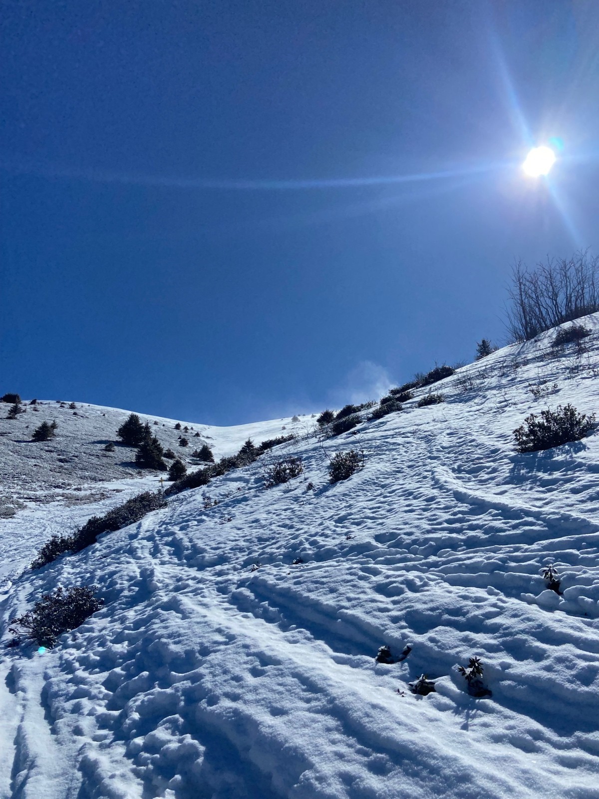 &nbsp;Les piétons c’est à gauche