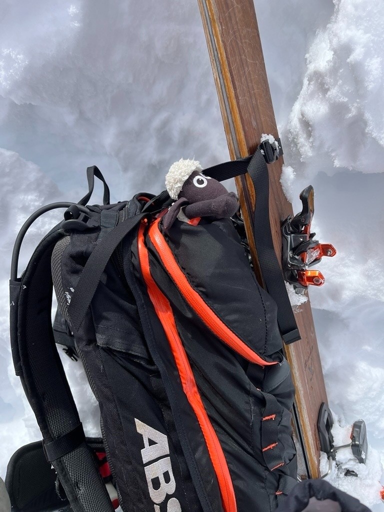 Shaun prêt à en découdre