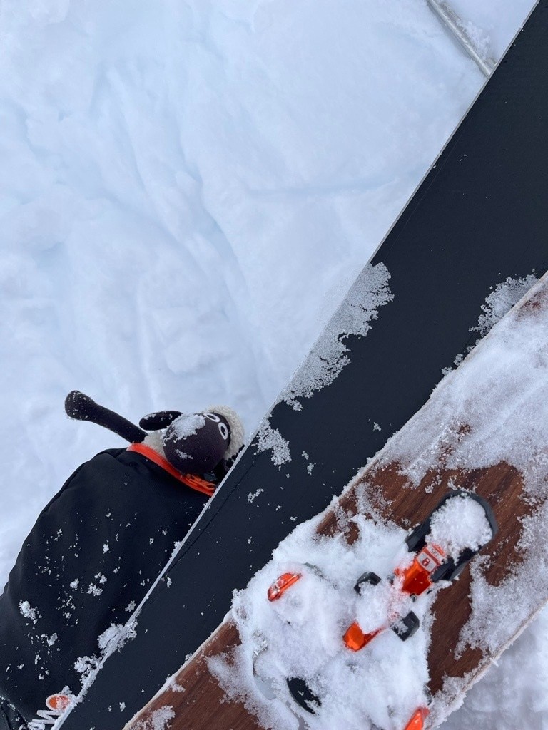 Shaun content de la poudre