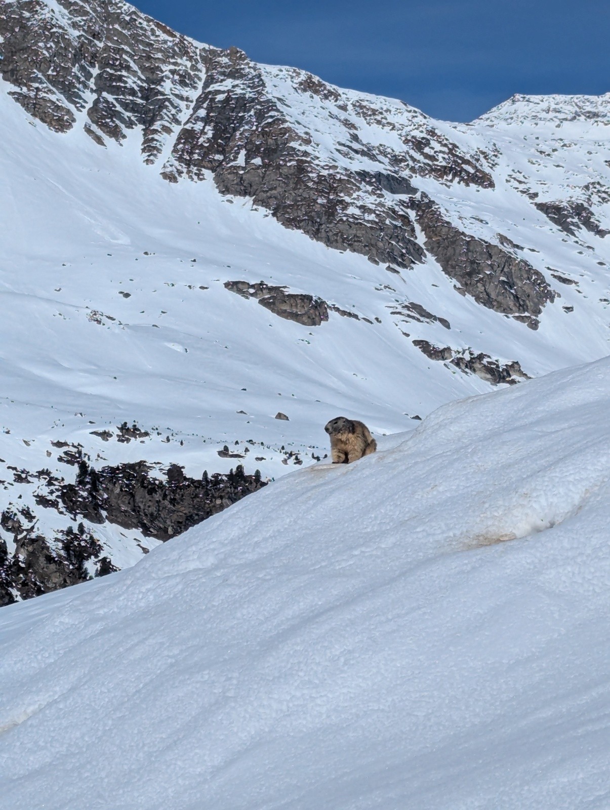 C'est parti pour une séance photo