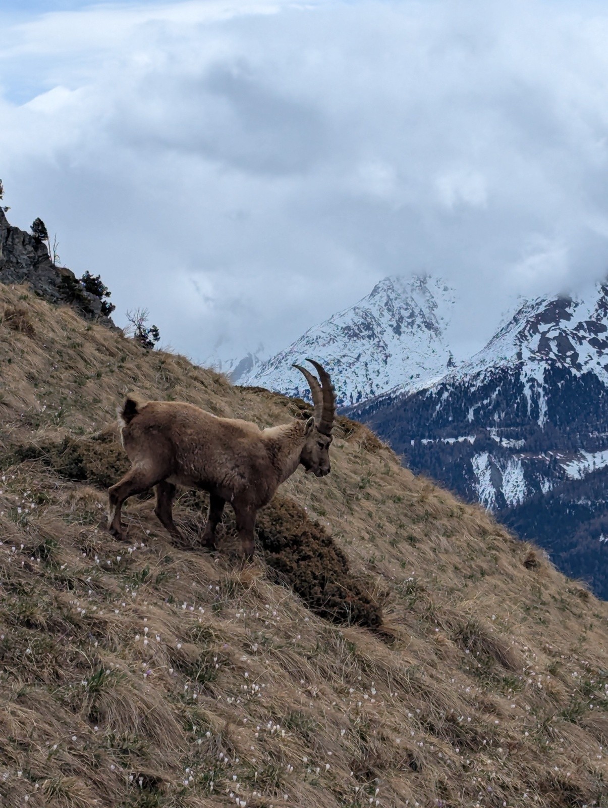 Il y a 10 jours au barbier