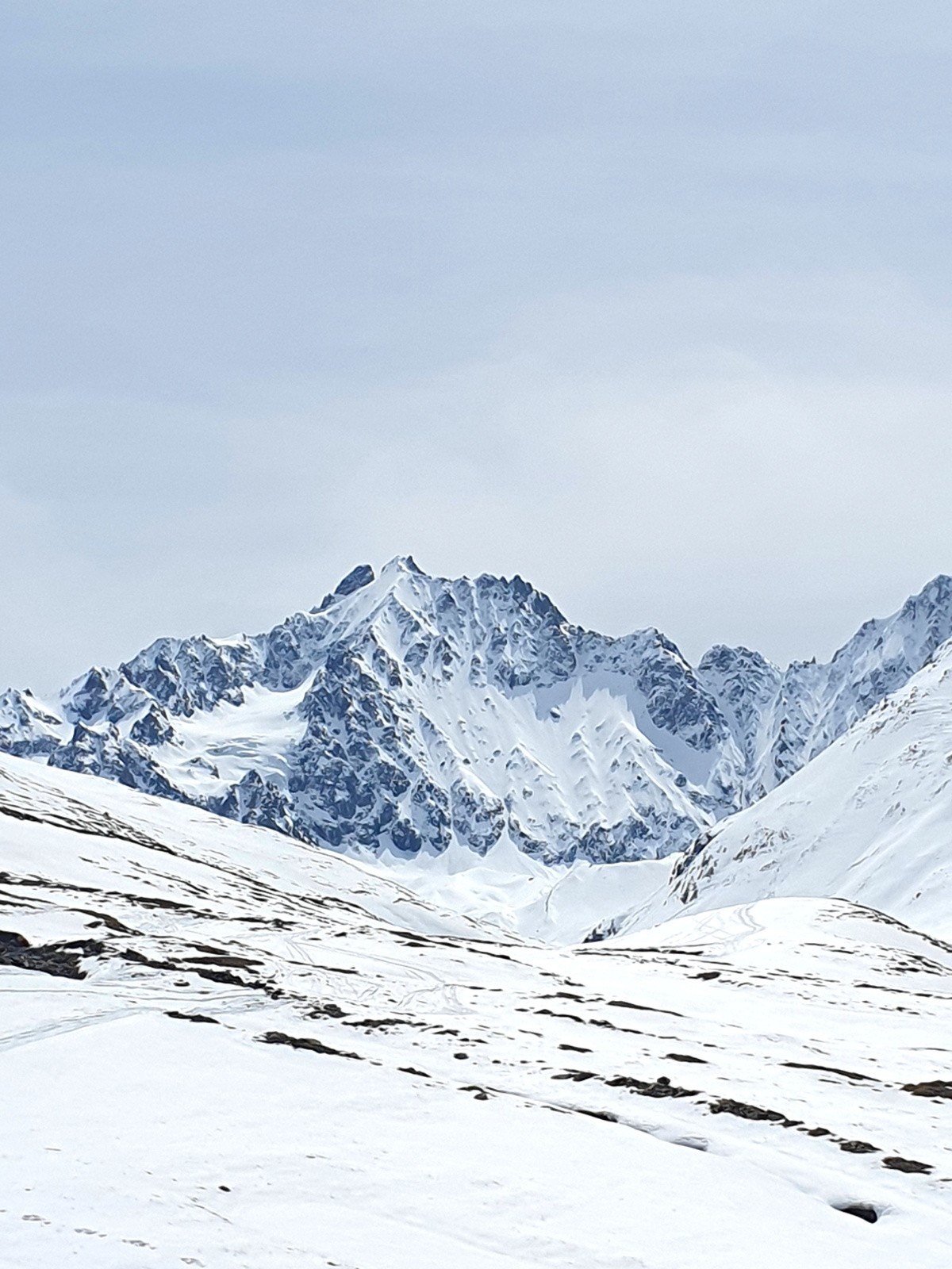 Tiens ? Les Agneaux : trop beaux…