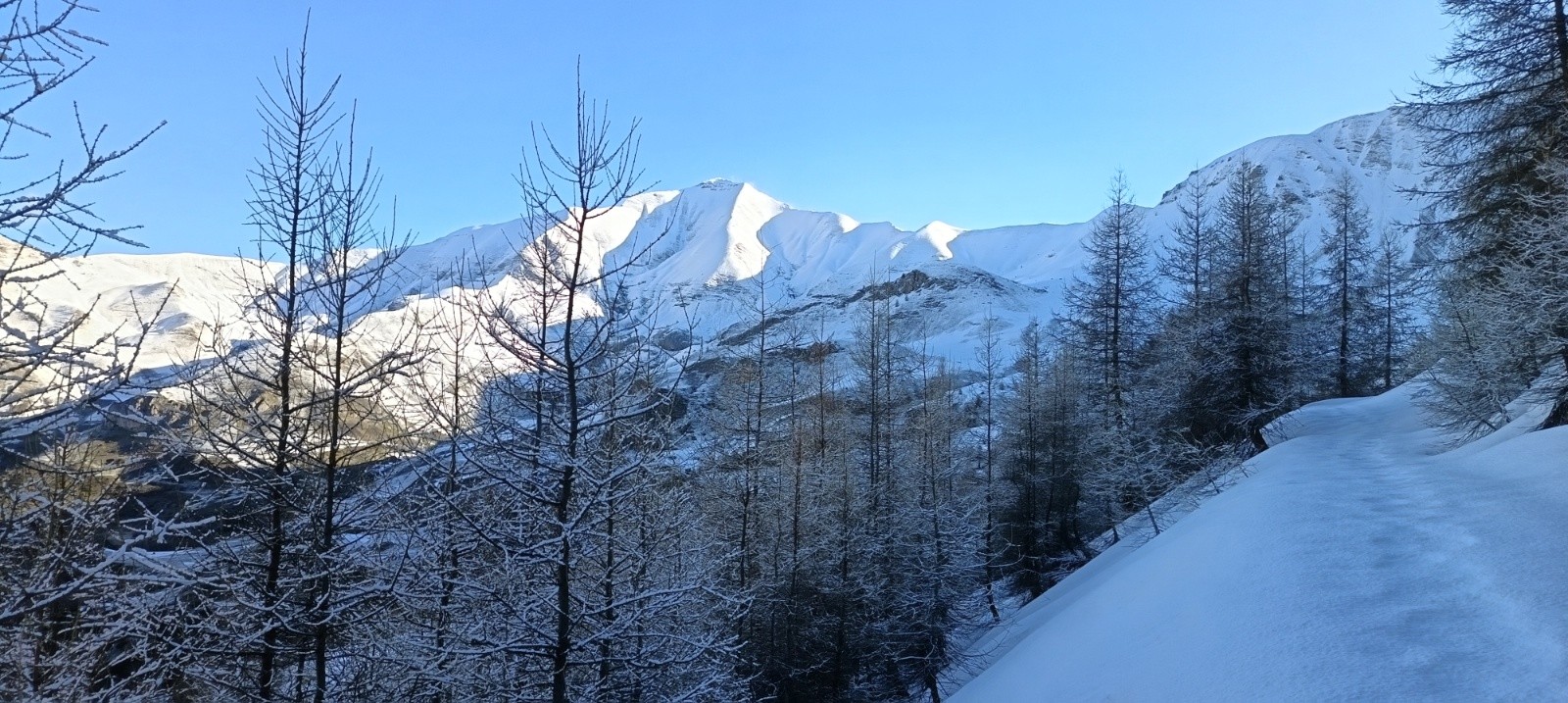 &nbsp;Grande Autane&nbsp;