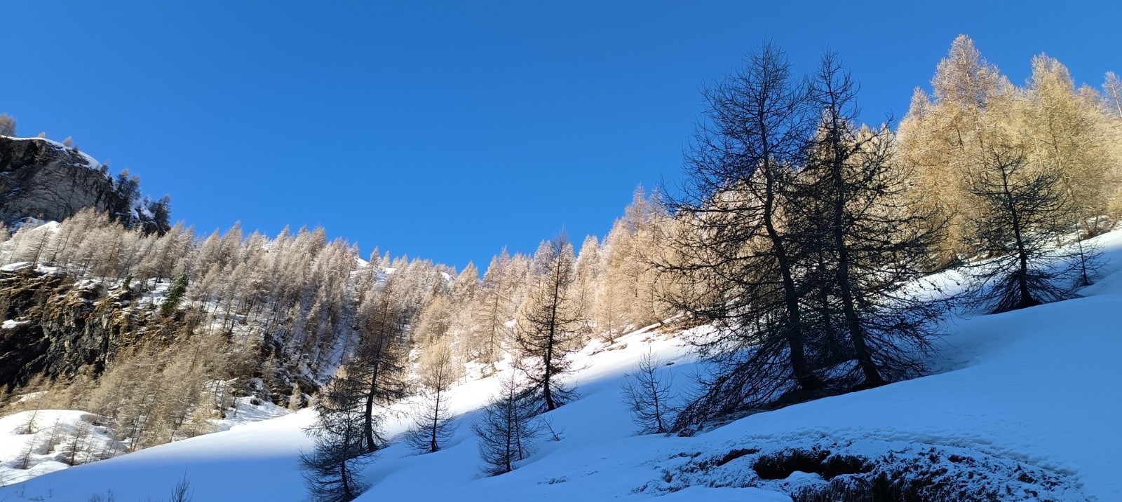 &nbsp;Le soleil embrase les mélèzes&nbsp;