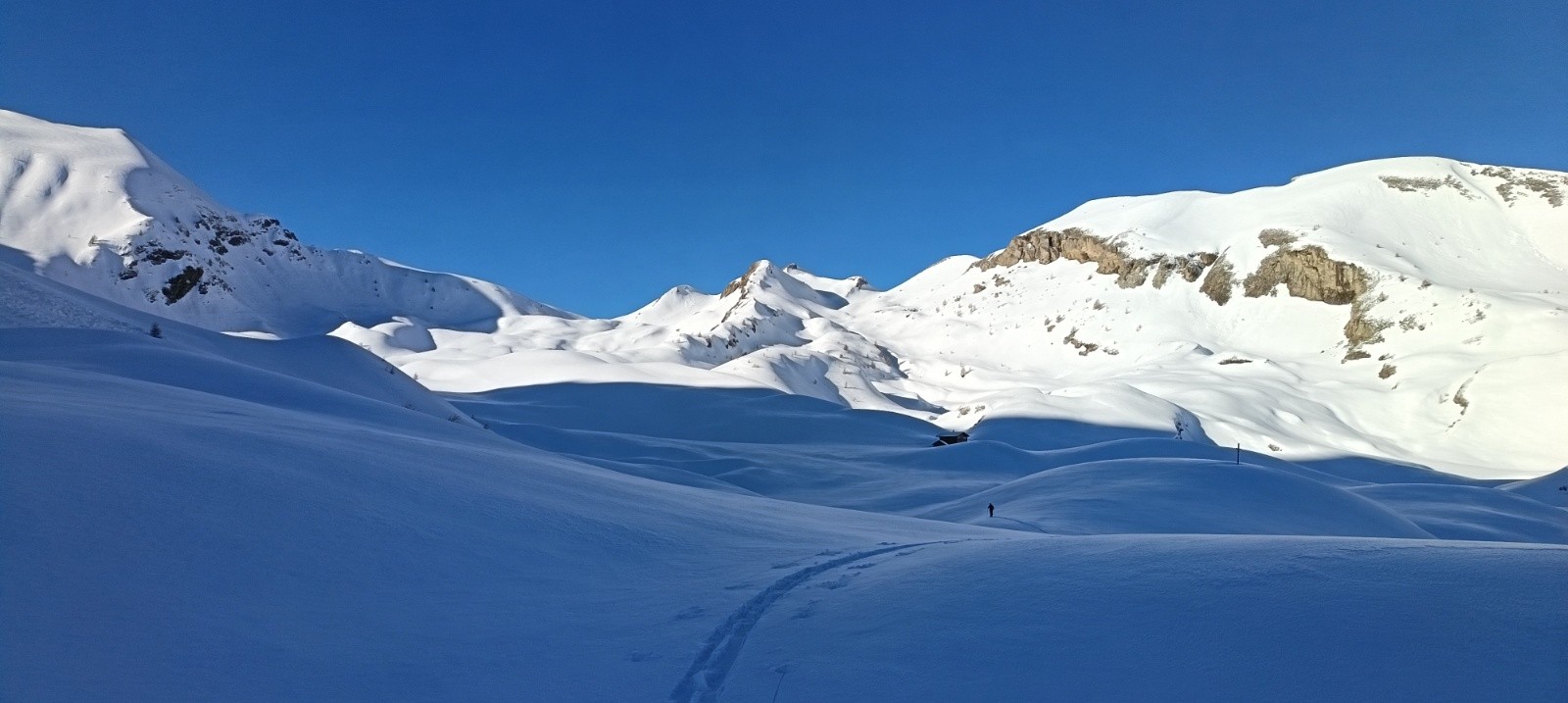 &nbsp;Je ne suis pas seul, 1ère rencontre du jour qui se dirige vers le Piolit&nbsp;