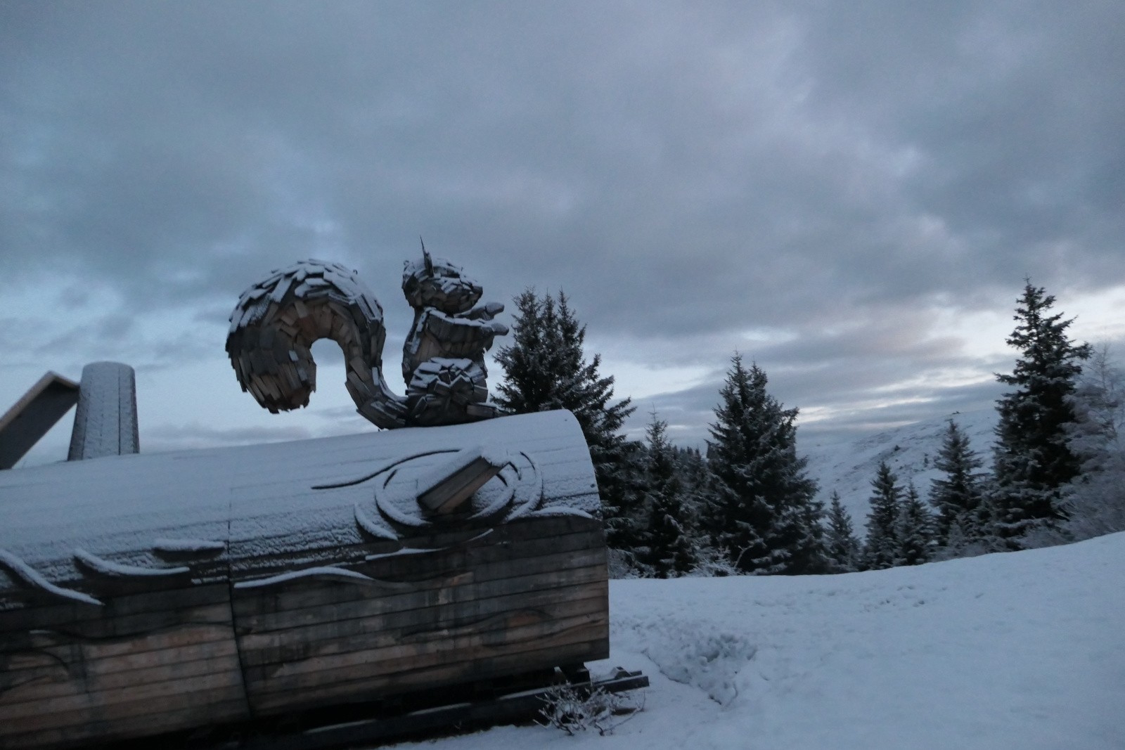 L'écureuil est bien là 