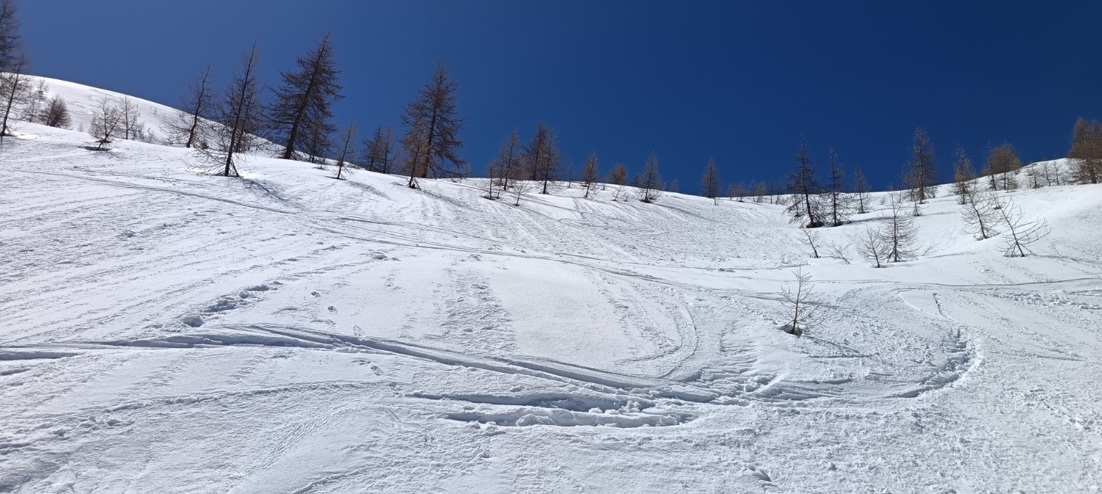 Descente revenue à point, début les mélèzes&nbsp;