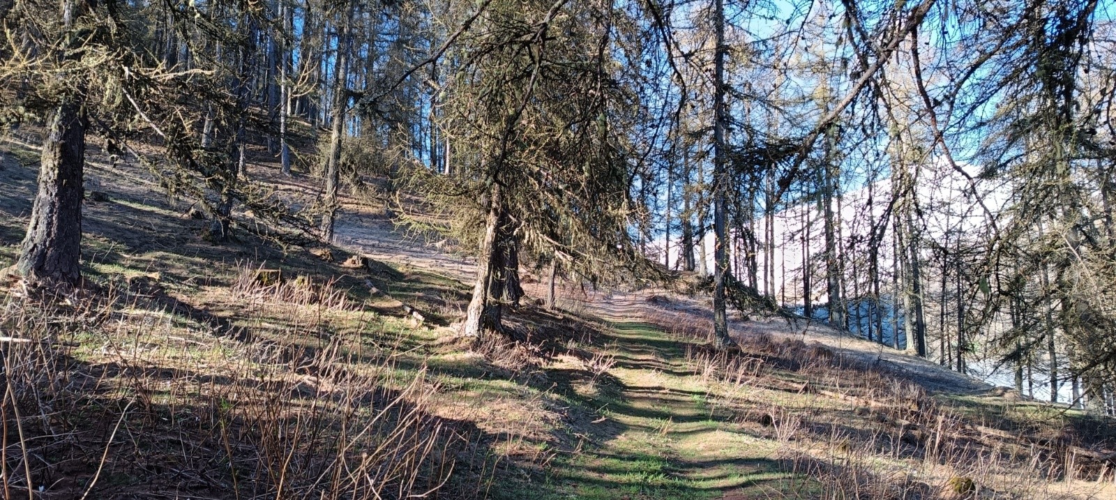 Au départ : Portage tout doux sur les épines de mélèzes