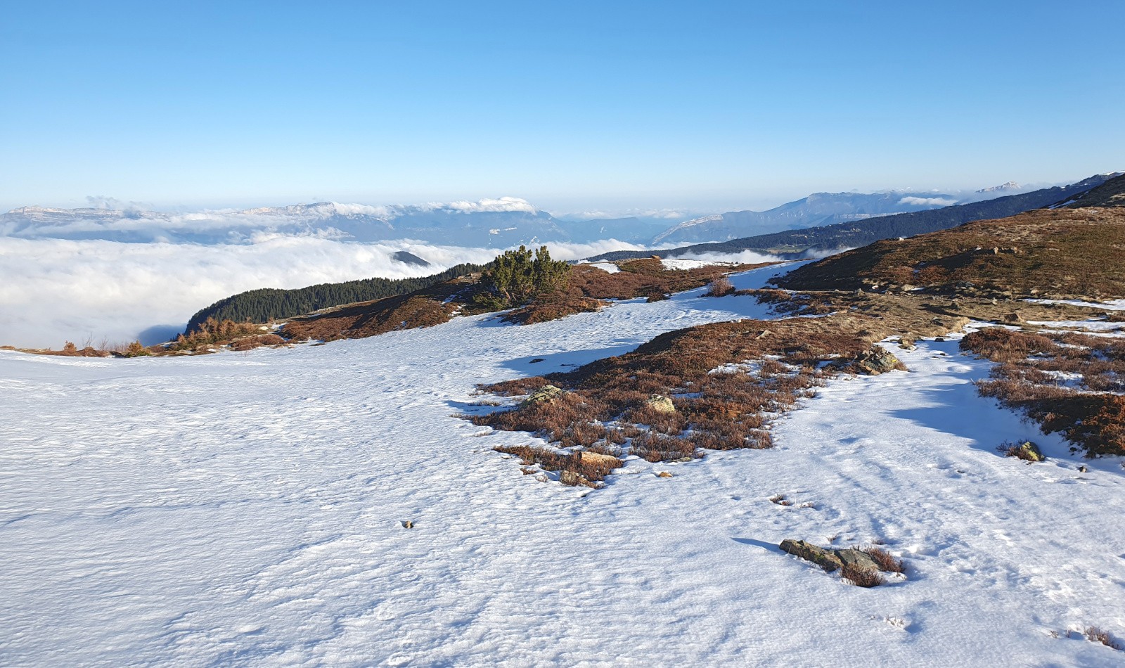 Au cœur de la toundra