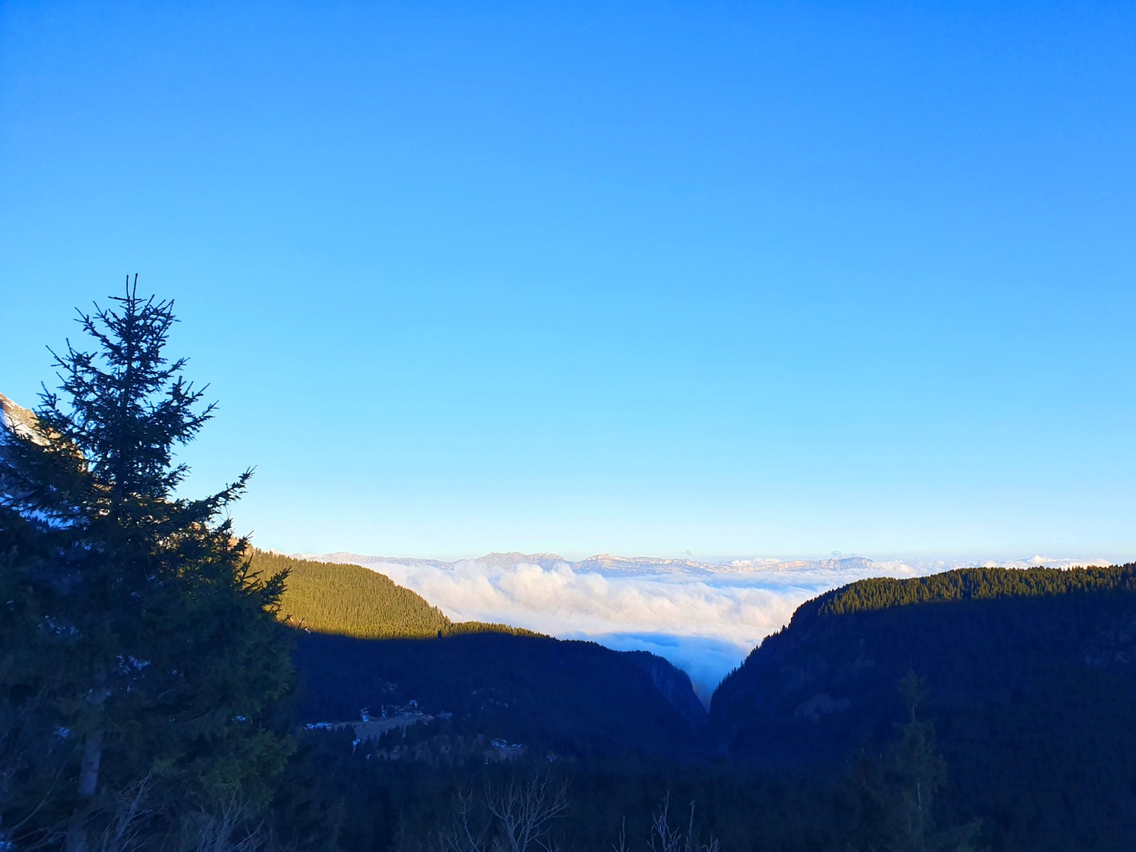 Une journée au grand air s'annonce…
