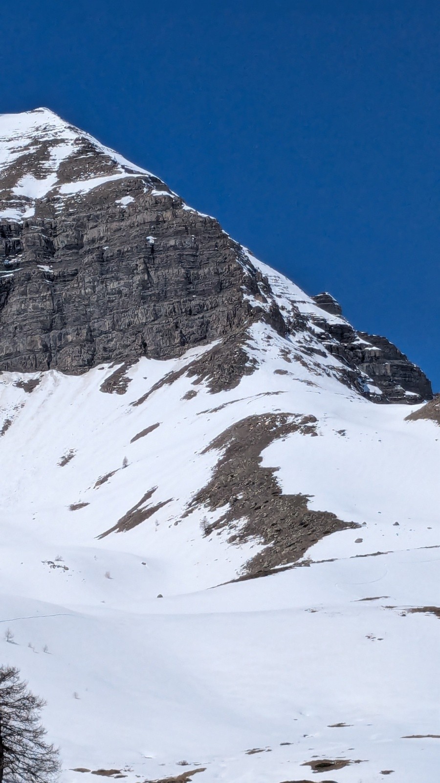 La face vie de profil.