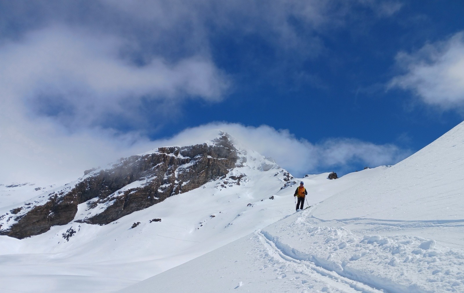 &nbsp;Ouille Noire ennuagée