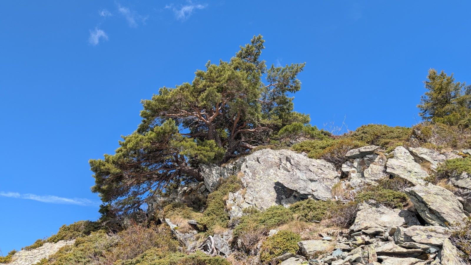pin au niveau de la jonction 