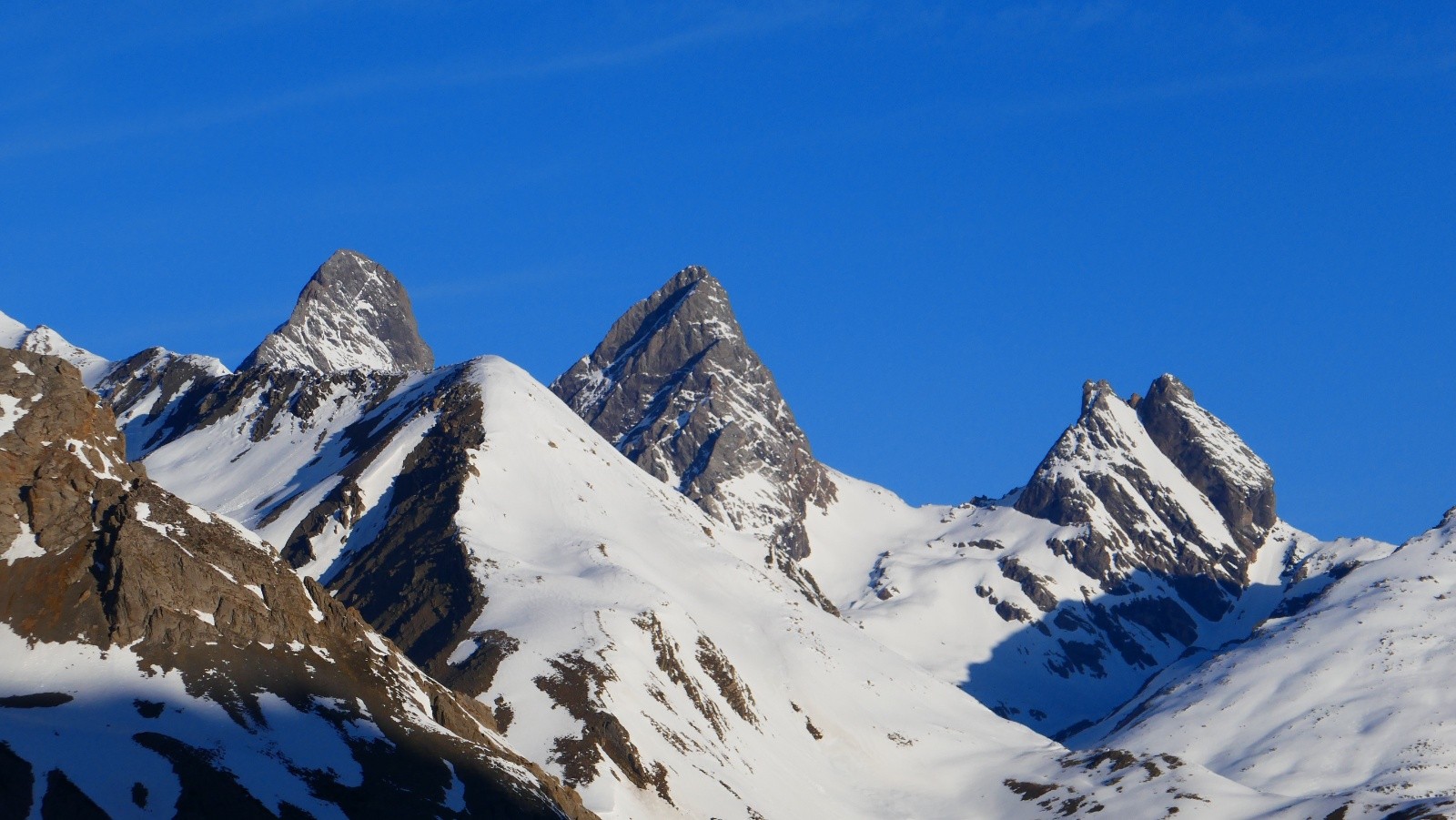 Mes aiguilles adorées!