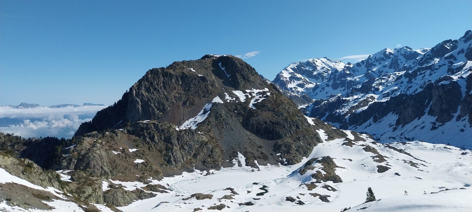 &nbsp;grand Eulier bien bien sec