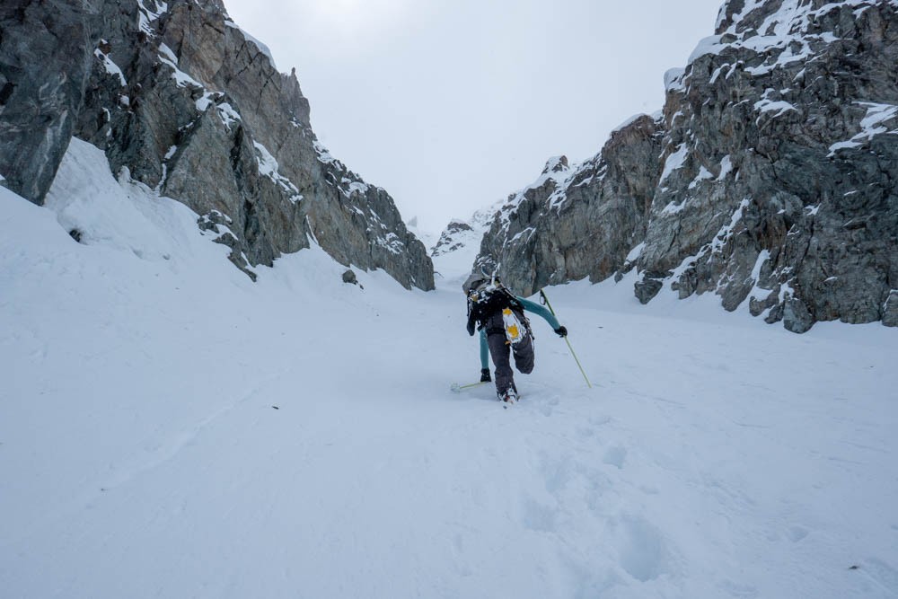 pedro Ã  l'attaque