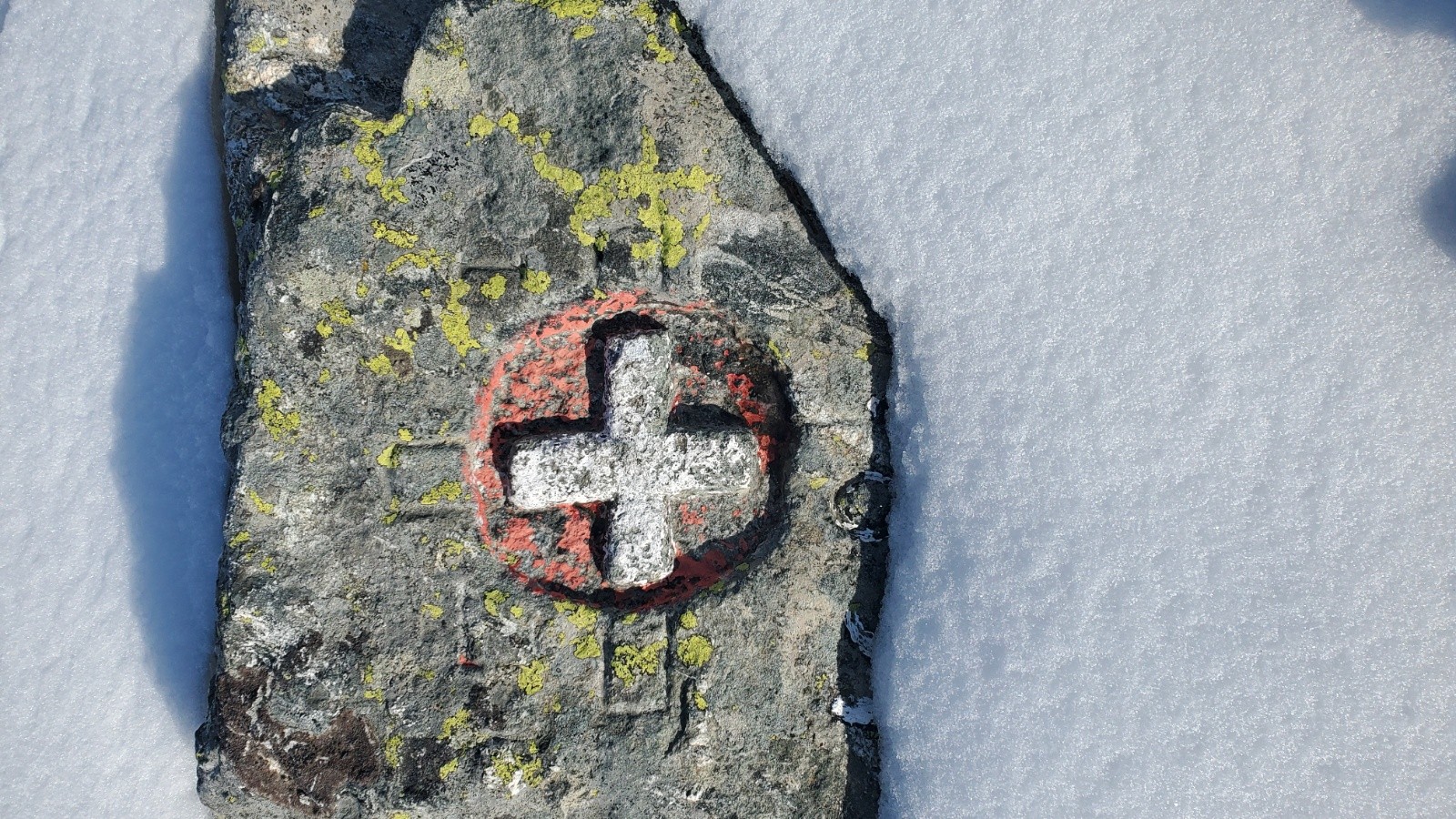 #5 Ouf nous sommes chez nous !! Ouf nous sommes chez nous !!