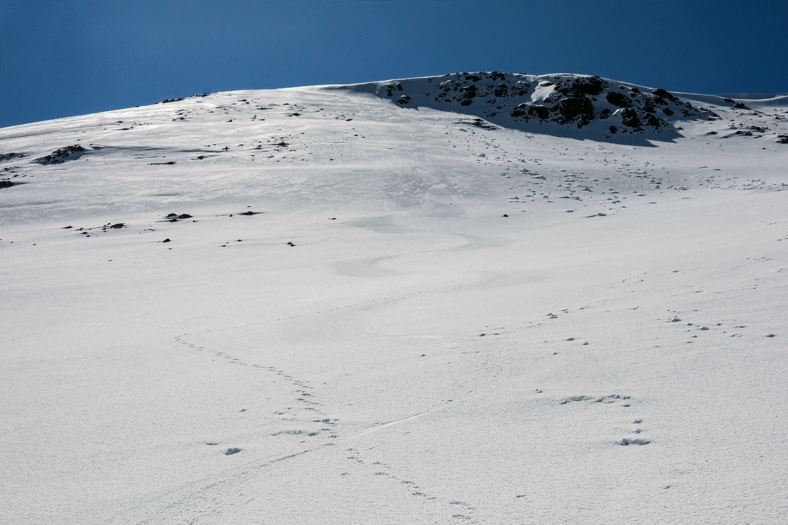 J'aime bien cette face W !&nbsp;&nbsp;