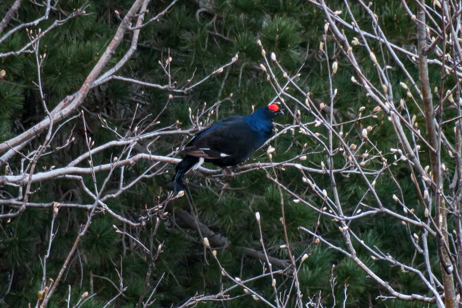 Coucou toi !&nbsp;&nbsp;