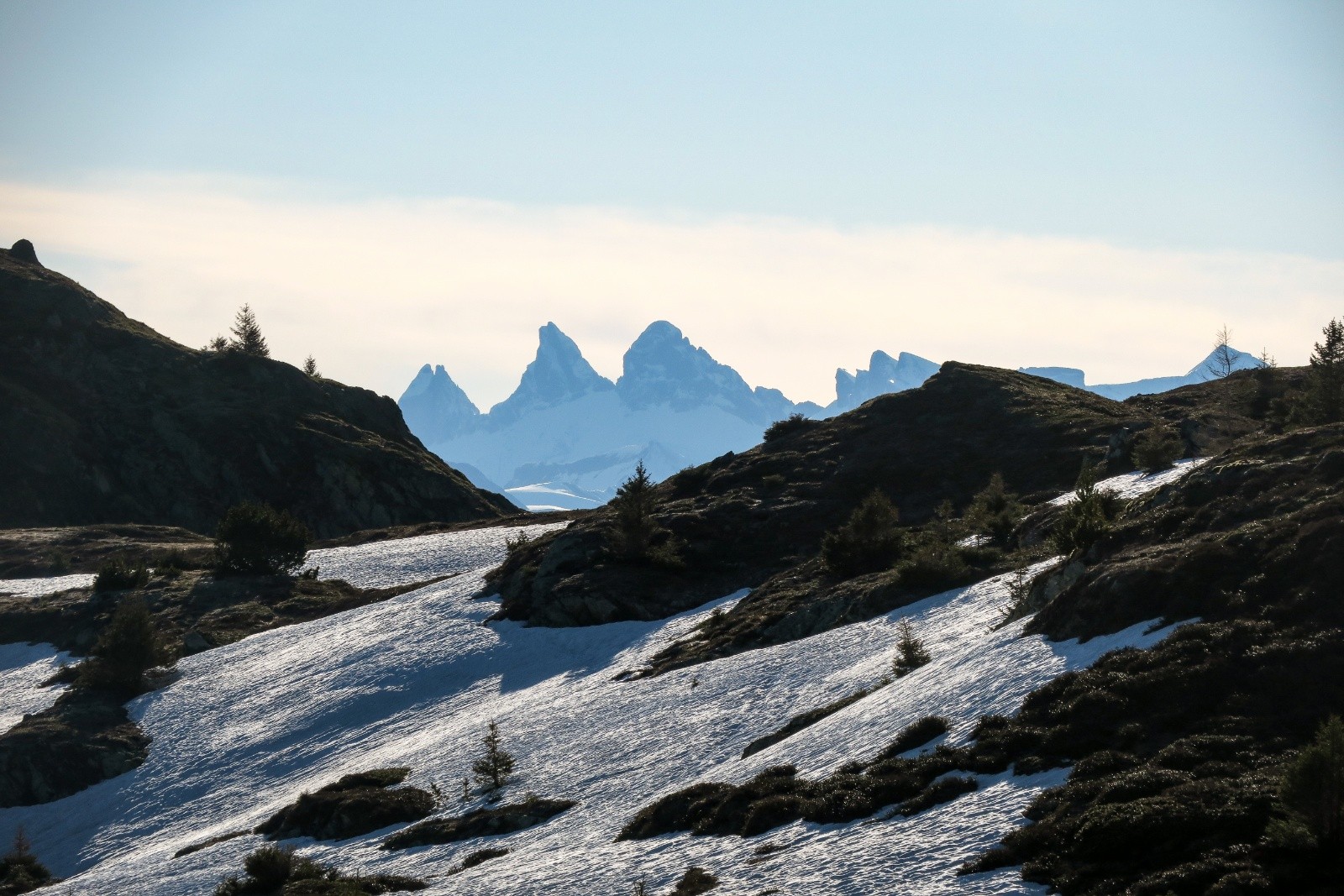 Les inséparables !&nbsp;&nbsp;