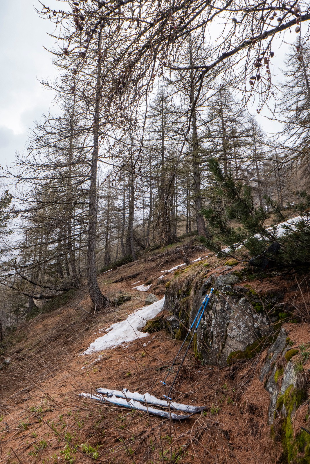 Déchaussage pile aux baskets