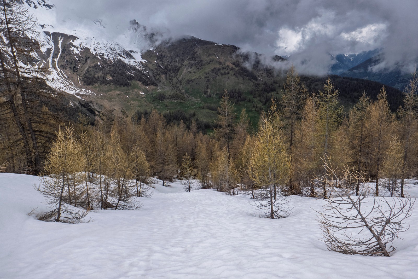 Ambiance devenant automnale