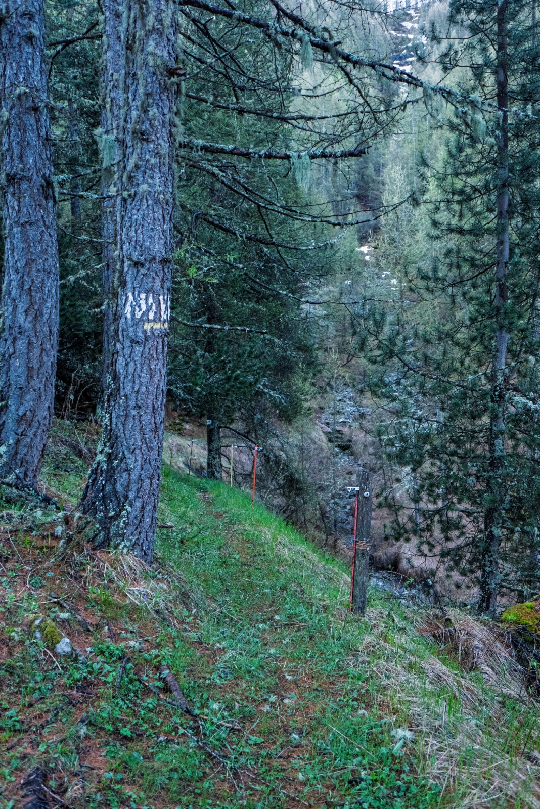 Ancien balisage et quelques cairns à suivre au mieux