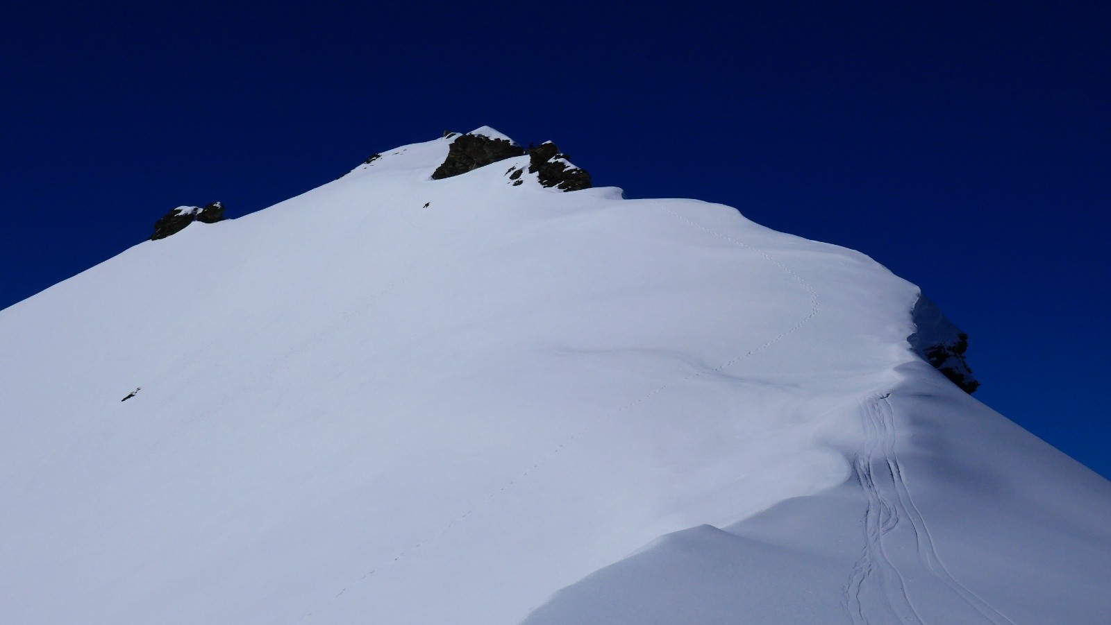 Le but de la visite!&nbsp;