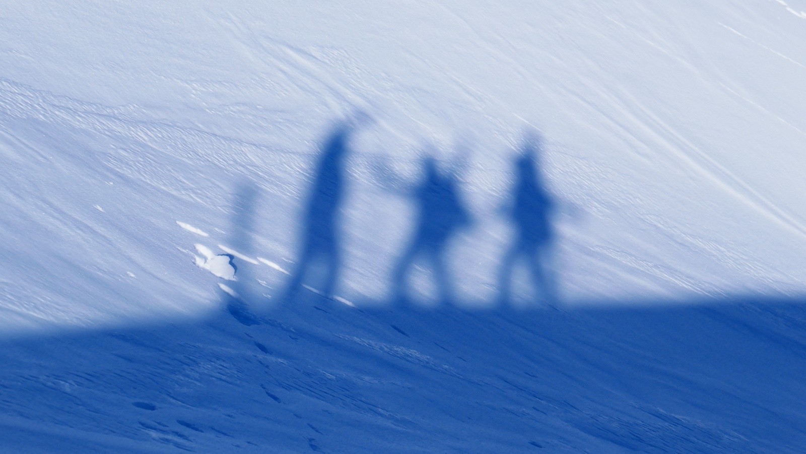 Zinzins du Lamet!🤪