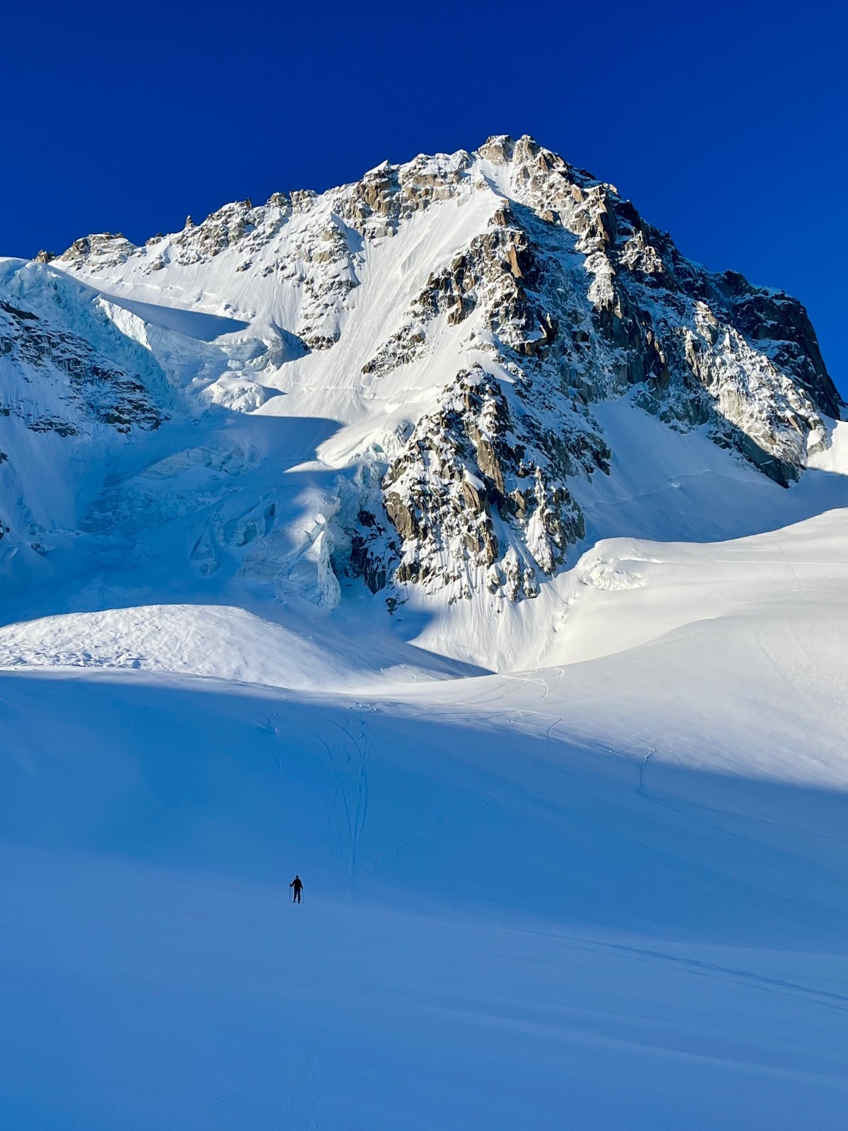 &nbsp;Titi fonce vers l'objectif