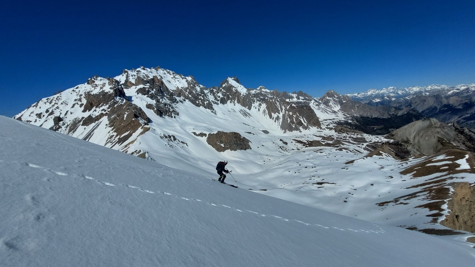 &nbsp;A poil court sur le haut de giradin vers à 10h15