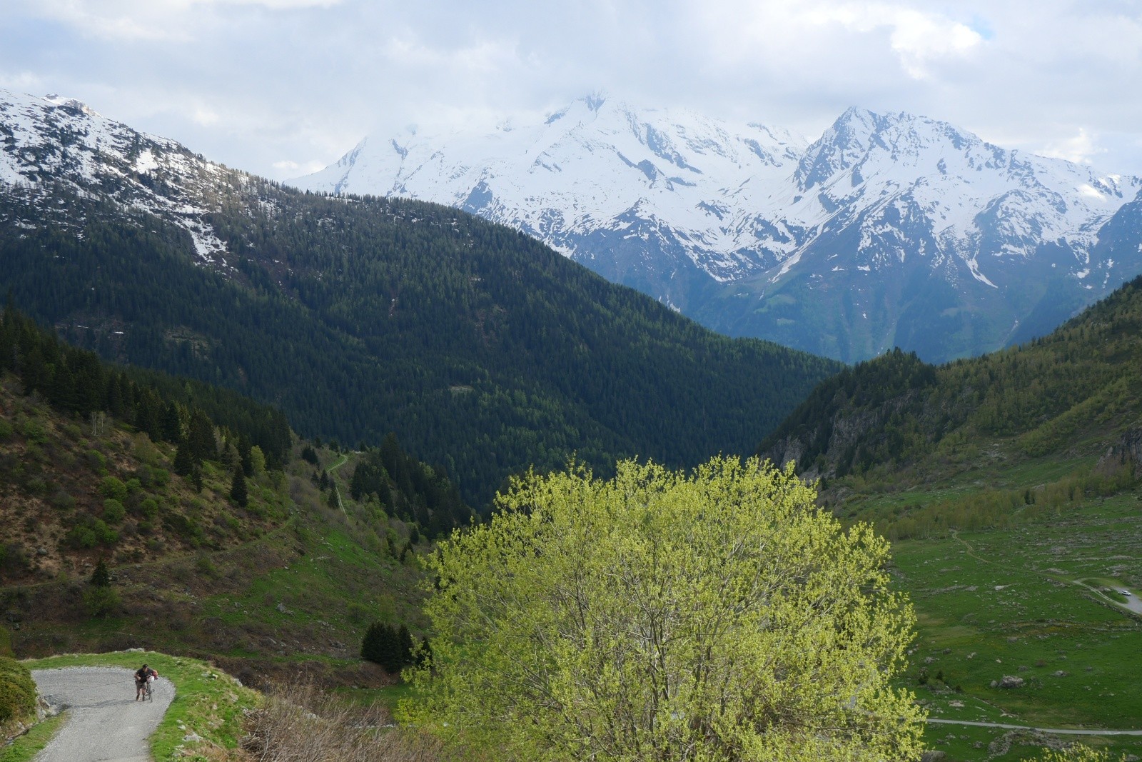 La fin de la montée, non goudronnée, ça commence à piquer !&nbsp;