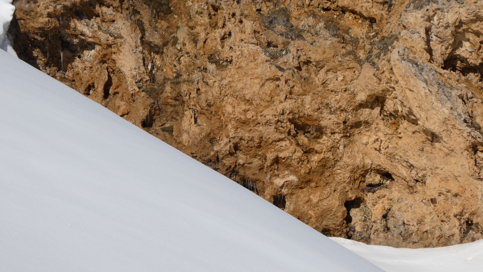 #24 J2 Doré du tuf sur blanc immaculé J2 Doré du tuf sur blanc immaculé