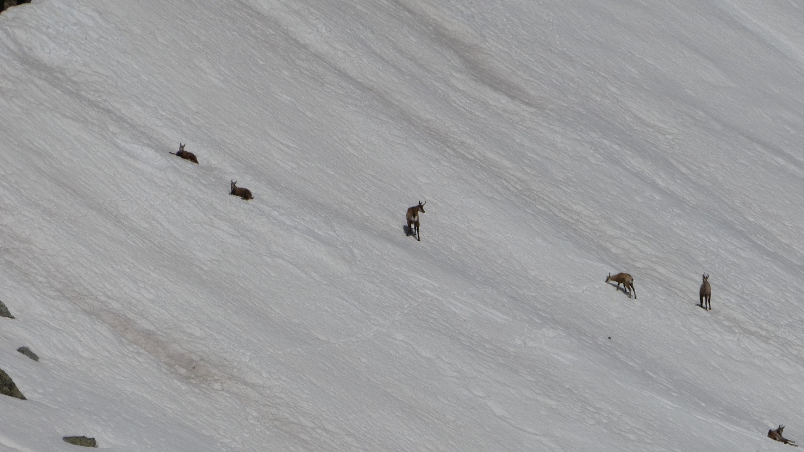 #34 J2 les habitants légitimes de ces lieux J2 les habitants légitimes de ces lieux