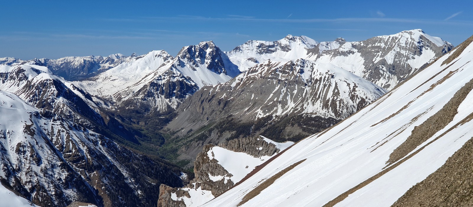 Pelat à g.&nbsp; Cimet à dr. 