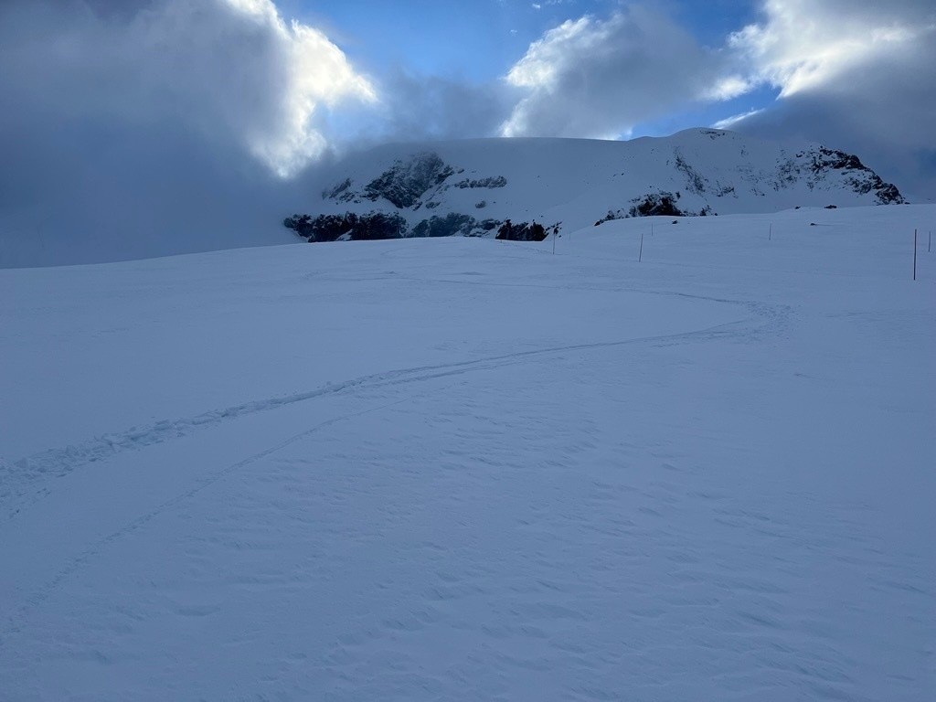 un peu cartonnée en dehors
